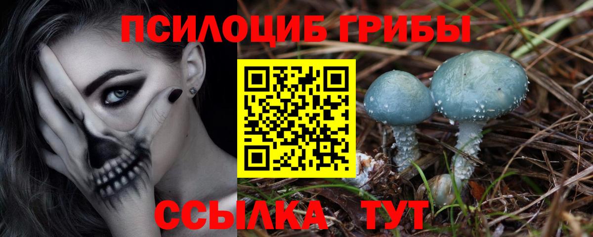 Псилоцибиновые грибы MAGIC MUSHROOMS Екатеринбург